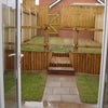 Photo 2: garden