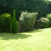 Photo 5: Garden