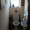 Photo 7: Downstairs cloakroom