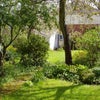 Photo 4: Garden