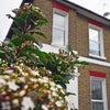 Photo 3: house