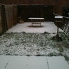 Photo 5: garden