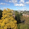 Photo 4: View from Living room.