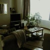 Photo 3: Lounge