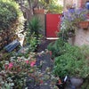 Photo 1: Front garden