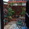 Photo 6: Garden