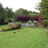 Photo 4: Lots of garden space