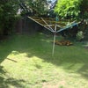 Photo 5: Garden