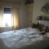 Photo 5: double bedroom