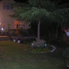 Photo 4: Garden