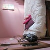 Photo 5: Room