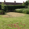 Photo 4: Garden