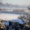 Photo 4: Views/garden