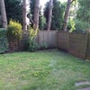 Photo 6: Back Garden