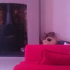 Photo 2: lounge with open fire