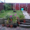Photo 3: Back garden with my neighbour's dog