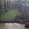 Photo 3: Garden