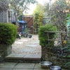 Photo 5: Garden