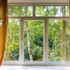 Photo 3: picture window room