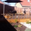 Photo 2: Great Garden