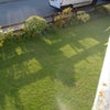 Photo 3: view of garden from balcony