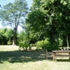 Photo 2: Rear garden