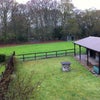 Photo 3: Fully enclosed back garden