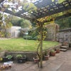Photo 6: Patio