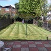 Photo 5: Garden