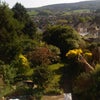 Photo 4: Garden and view