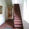 Photo 5: Carpet throughout