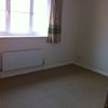 Photo 2: Sofa bed available