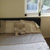 Photo 5: Bedroom