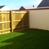 Photo 2: back garden