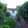 Photo 3: Garden