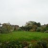 Photo 4: Garden