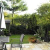 Photo 5: Secluded garden