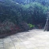 Photo 4: Garden