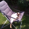 Photo 3: The lazyest housemate