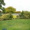 Photo 4: Garden