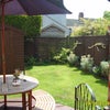 Photo 2: MY GARDEN