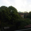 Photo 2: View from Bedroom window