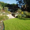 Photo 4: Garden