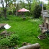 Photo 5: Garden