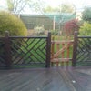 Photo 3: Garden