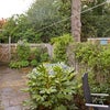 Photo 4: garden