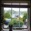 Photo 2: Living room window view