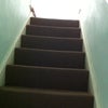 Photo 2: stairs leading up to first floor flat