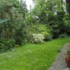 Photo 5: garden