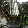 Photo 3: garden